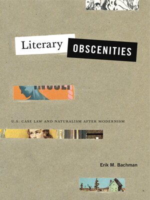 cover image of Literary Obscenities